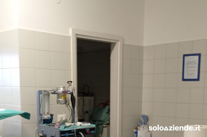 Affitto Clientela/avviamento studi professionali AMBULATORIO VETERINARIO ATTIVO DAL 1984 a Lavis (TN)